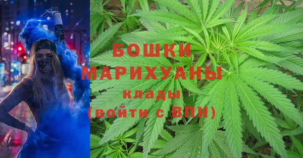 не бодяженный Заводоуковск