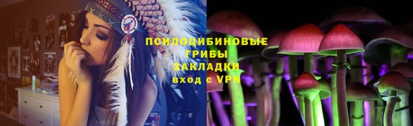 не бодяженный Заводоуковск