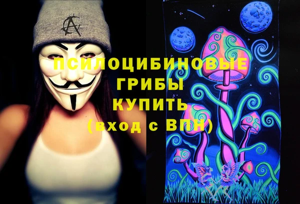 индика Навашино
