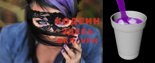 не бодяженный Заводоуковск
