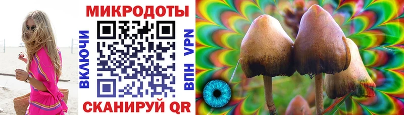 Галлюциногенные грибы Psilocybine cubensis Каменногорск